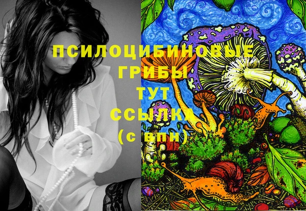 бутират Алексеевка