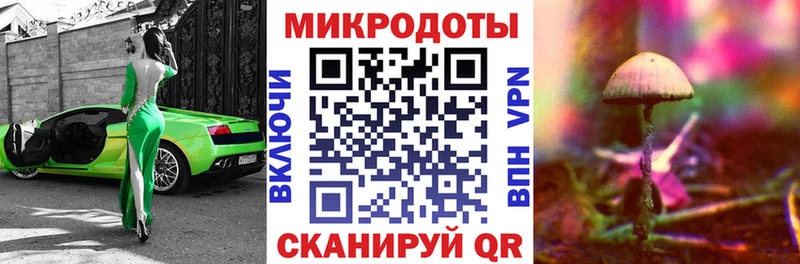 Псилоцибиновые грибы мицелий  Муром 