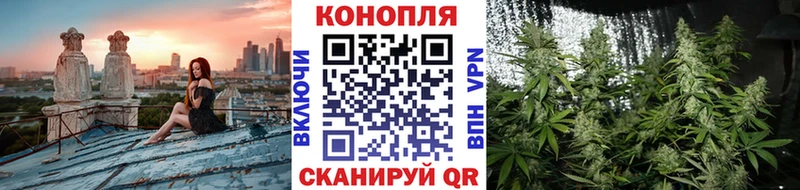 ОМГ ОМГ ССЫЛКА  Муром  МАРИХУАНА White Widow 